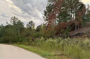 14 Pindo Pass, North Augusta, SC 29860 - Photo 1