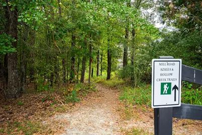 164 Pink Dogwood Circle, Aiken, SC 29803 - Photo 45