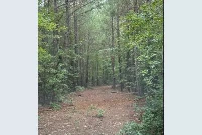 3.72 A Old Edgefield Road, Ninety Six, SC 29666 - Photo 5