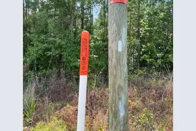 3.72 A Old Edgefield Road, Ninety Six, SC 29666 - Photo 3