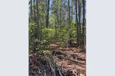 L14 B39 Antioch Drive, McCormick, SC 29835 - Photo 5