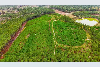 2427 Wire Road, Aiken, SC 29805 - Photo 47