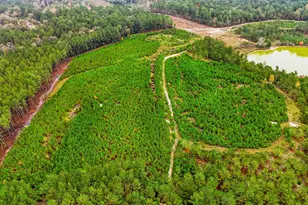 2427 Wire Rd, Aiken, SC 29805 - Photo 47