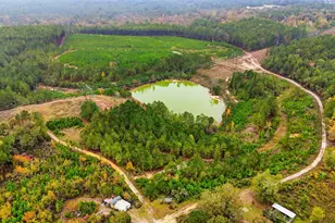 2427 Wire Rd, Aiken, SC 29805 - Photo 41