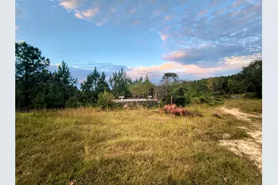 2427 Wire Road, Aiken, SC 29805 - Photo 31