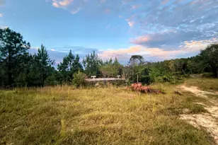 2427 Wire Rd, Aiken, SC 29805 - Photo 31