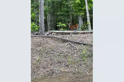 1030 Candleberry Drive, Grovetown, GA 30813 - Photo 43