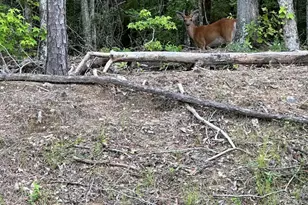 1030 Candleberry Dr, Grovetown, GA 30813 - Photo 43