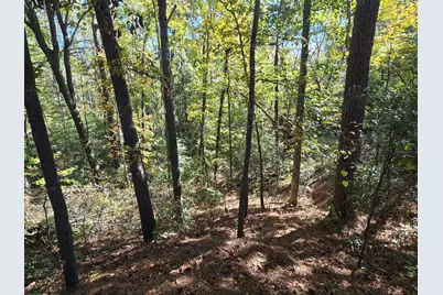 937 Bennock Mill Road, Augusta, GA 30906 - Photo 9