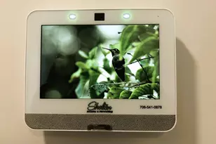 7172 Paisley Cir, Graniteville, SC 29829 - Photo 27