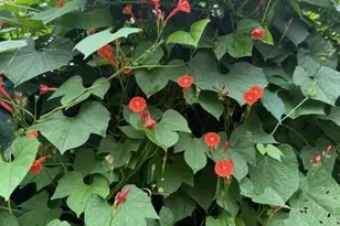 226 Greene St, Augusta, GA 30901 - Photo 3