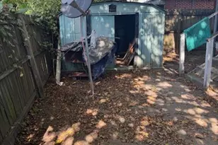 917 11th Street St, Augusta, GA 30901 - Photo 5