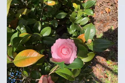 1729 Oak Drive, Augusta, GA 30904 - Photo 7