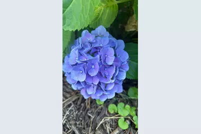 1729 Oak Drive, Augusta, GA 30904 - Photo 9