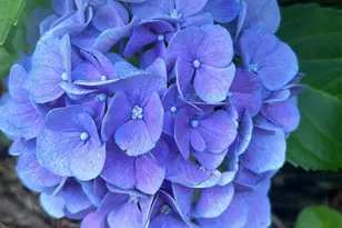 1729 Oak Dr, Augusta, GA 30904 - Photo 9