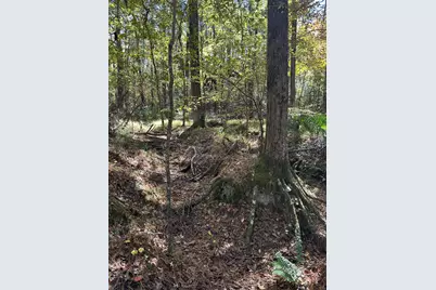 167 Southwind Drive, McCormick, SC 29835 - Photo 11