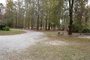 218 E Sheppard St, Stapleton, GA 30823 - Photo 29