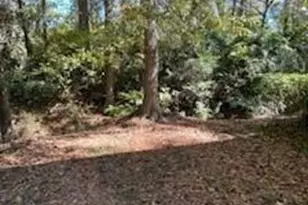 335 Saddletree Ln, Martinez, GA 30907 - Photo 25