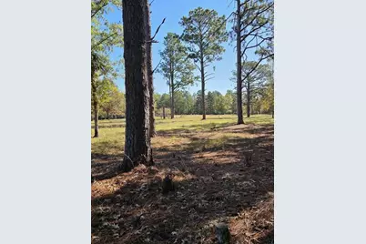 30 Old Mulberry Farms Trail Road, Wagener, SC 29164 - Photo 55