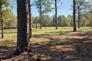 30 Old Mulberry Farms Trail Rd, Wagener, SC 29164 - Photo 55