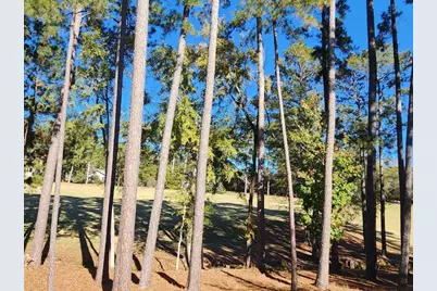 314 Palmer Lane, McCormick, SC 29835 - Photo 45