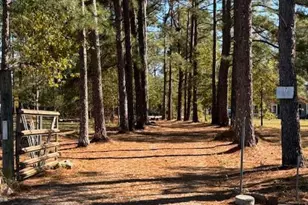 131 Marks Walden Rd Rd, Blythe, GA 30805 - Photo 5