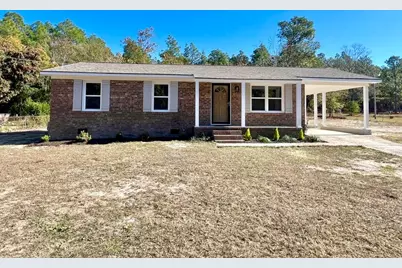 291 Project Road, Warrenville, SC 29851 - Photo 1