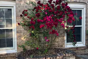 149 Woodland Dr, Martinez, GA 30907 - Photo 31