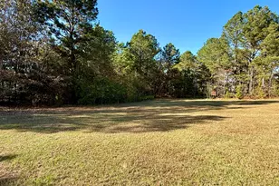 10199 Ga Hwy 296, Stapleton, GA 30823 - Photo 29