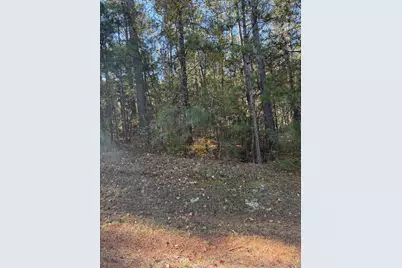 Lot 13 Two Wood Pl, McCormick, SC 29835 - Photo 1