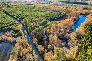 4099 Randall Hunt Rd, Dearing, GA 30808 - Photo 9