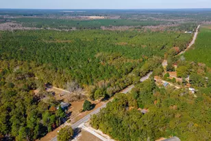 1225 Davis Bridge Rd, Williston, SC 29853 - Photo 61