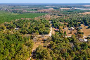 1225 Davis Bridge Rd, Williston, SC 29853 - Photo 63