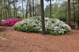 5068 Belle Mead Dr, Aiken, SC 29803 - Photo 53