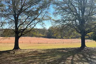 1044 Sardis Rd, Rayle, GA 30660 - Photo 47