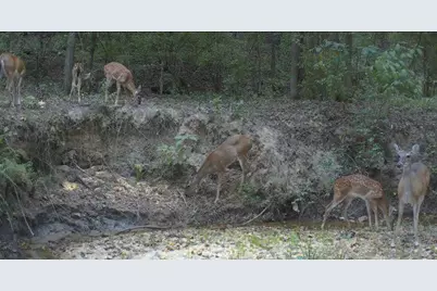 4676 Oakley Pirkle Road, Martinez, GA 30907 - Photo 37