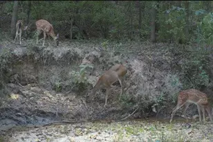 4676 Oakley Pirkle Rd, Martinez, GA 30907 - Photo 37