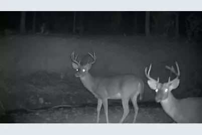 4676 Oakley Pirkle Road, Martinez, GA 30907 - Photo 39