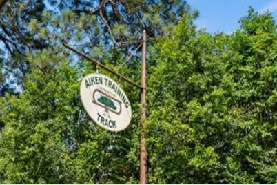 893 Tess Street, Graniteville, SC 29829 - Photo 39