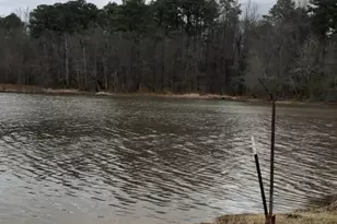 1051 MacDonald St, Tignall, GA 30668 - Photo 43