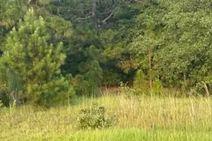 5584 Rosemont Dr, Appling, GA 30802 - Photo 11