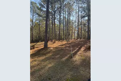 5584 Rosemont Drive, Appling, GA 30802 - Photo 7