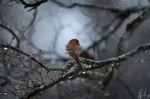 3042 Johnny Ct, Augusta, GA 30906 - Photo 45