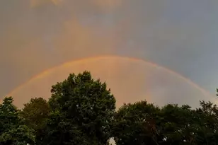 3042 Johnny Ct, Augusta, GA 30906 - Photo 53