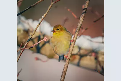 3042 Johnny Court, Augusta, GA 30906 - Photo 51