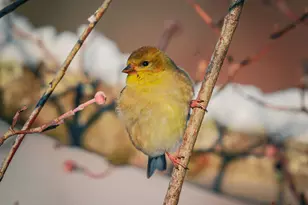 3042 Johnny Ct, Augusta, GA 30906 - Photo 51