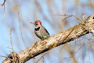 3042 Johnny Ct, Augusta, GA 30906 - Photo 5