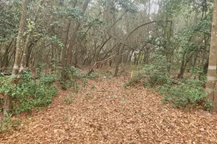 0 Old Lloydtown Rd, Aiken, SC 29801 - Photo 1