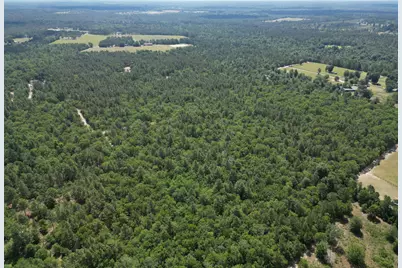 00 Live Oak Drive, Windsor, SC 29856 - Photo 1