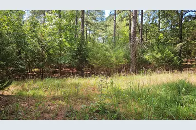 0 Double Branches, Lincolnton, GA 30817 - Photo 1